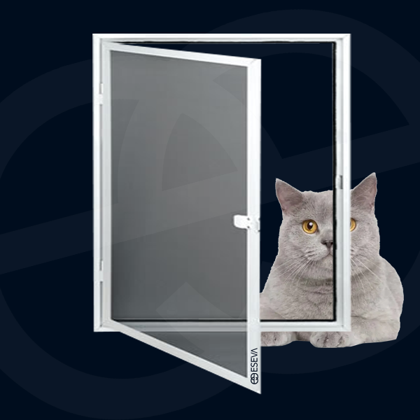 Balat Kedi Sinekliği